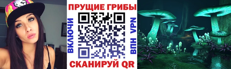 Галлюциногенные грибы мицелий Химки
